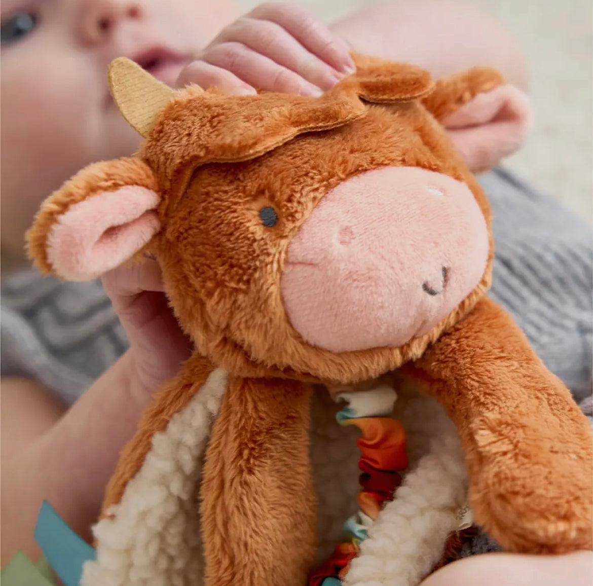 Highland Cow Itzy Friends Lovey™ Plush